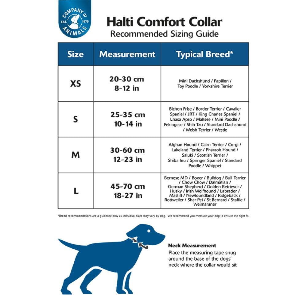 Halti Comfort Collar - Purple, Small Size, Neoprene-Padded Nylon, Reflective Strip 5