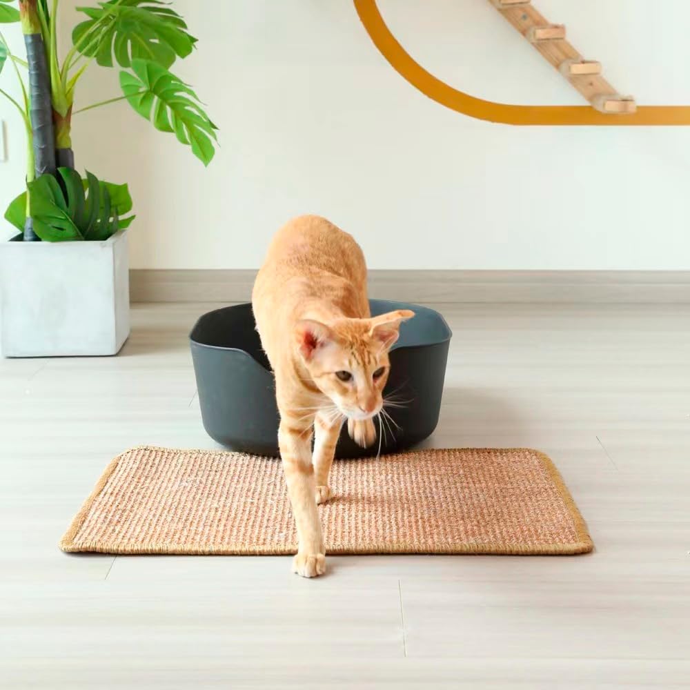 RAM ONLINE Sisal Cat Scratch Mat - 60cm x 50cm | Anti-Slip Base | Protects Furniture