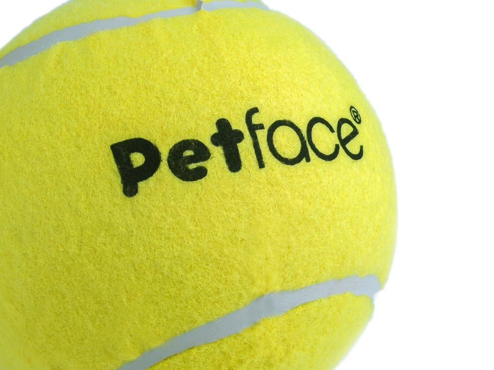 Petface Mini Super Tennis Balls for Dogs - 4.8 cm, Pack of 5 | Durable Rubber Fetch Toy 3