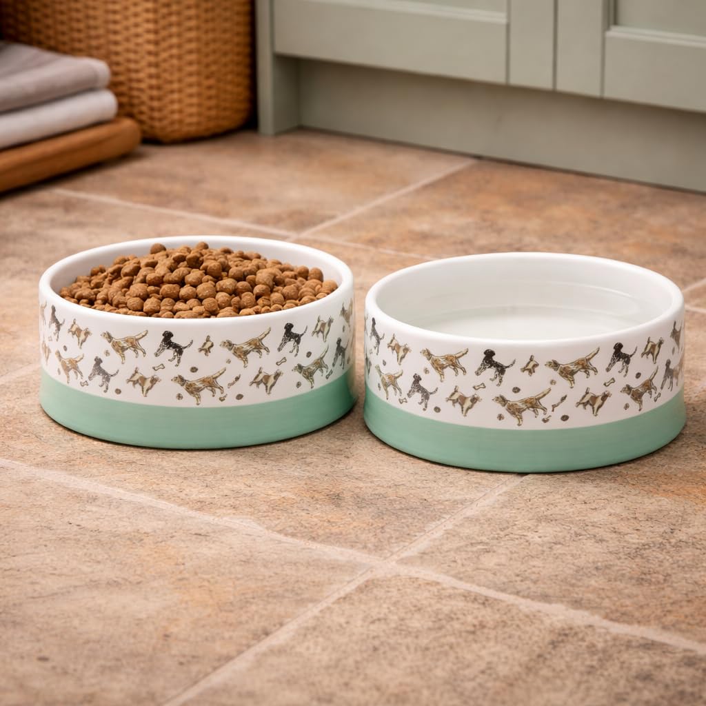 Banbury & Co Ceramic Dog Bowl - 750ml Capacity, Dishwasher Safe, Tip-Resistant 5