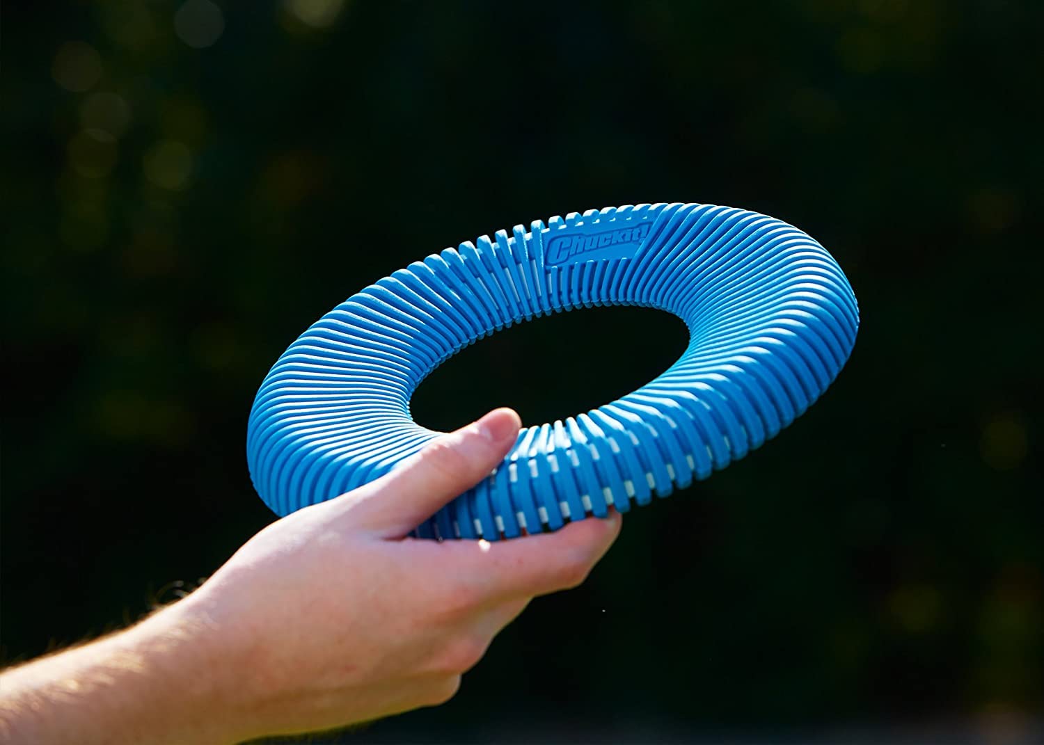 Chuckit! Rugged Flyer Dog Toy - Durable Fetch Toy for Active Dogs | Size L | Floats 6