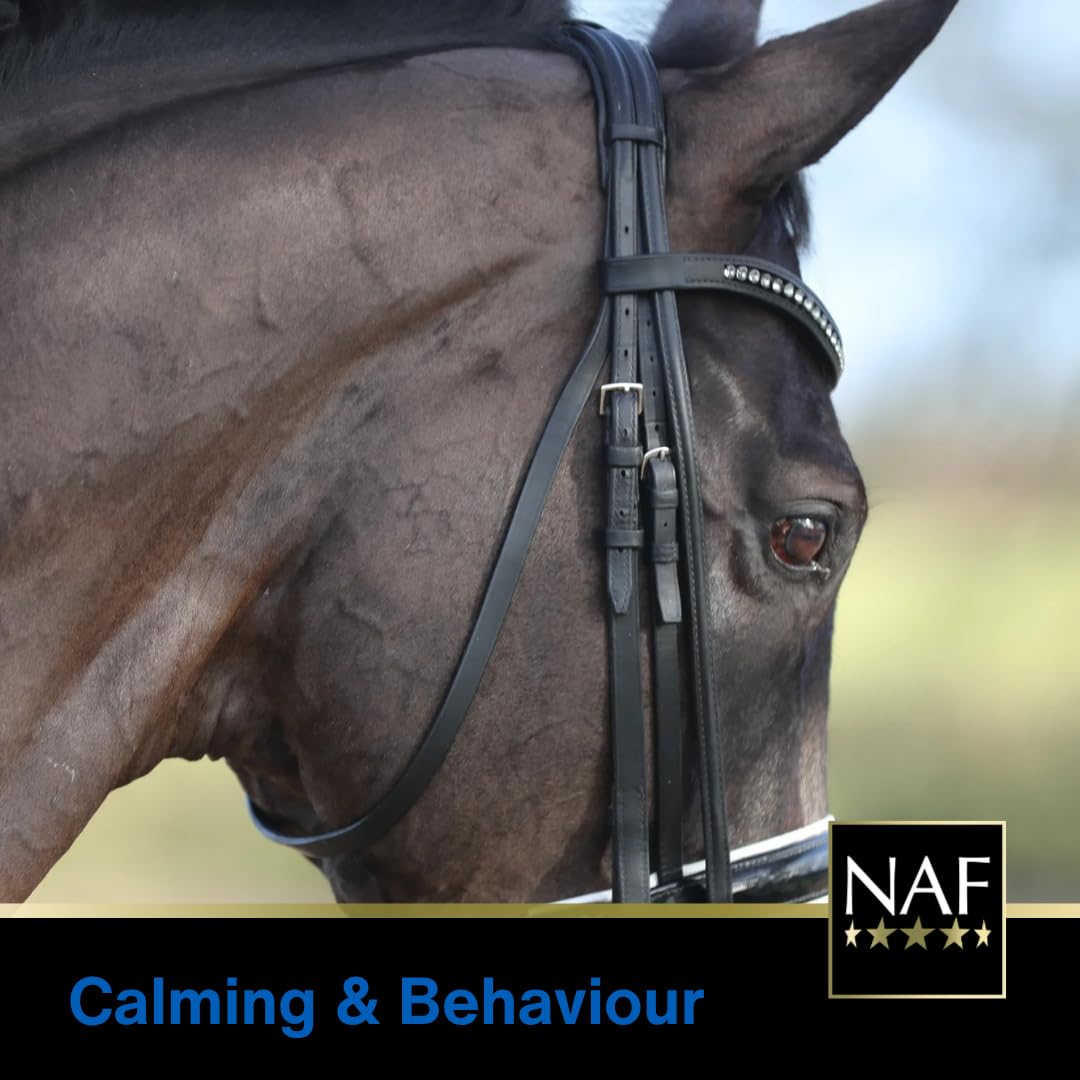 NAF Instant Magic Calming Supplement - Fast-Acting Liquid for Horses | 3 x 30ml Syringes 5
