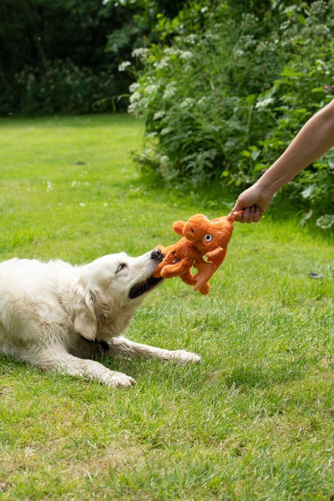 Petface Seriously Strong Plush Dragon Dog Toy - Durable, Heavy Duty for Large Breeds | Orange 4