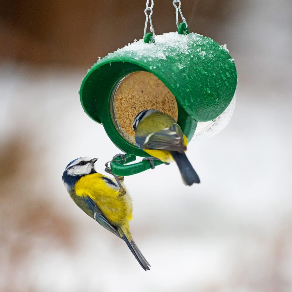 Flutter Butter Original Pods for Birds, Pack of 3 x 170g, Compatible with All Flutter Butter Feeders 4