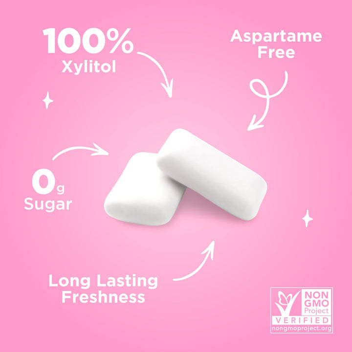 PUR Gum - Natural Bubblegum Flavoured Sugar-Free Chewing Gum (55 Pieces, Pack of 3)