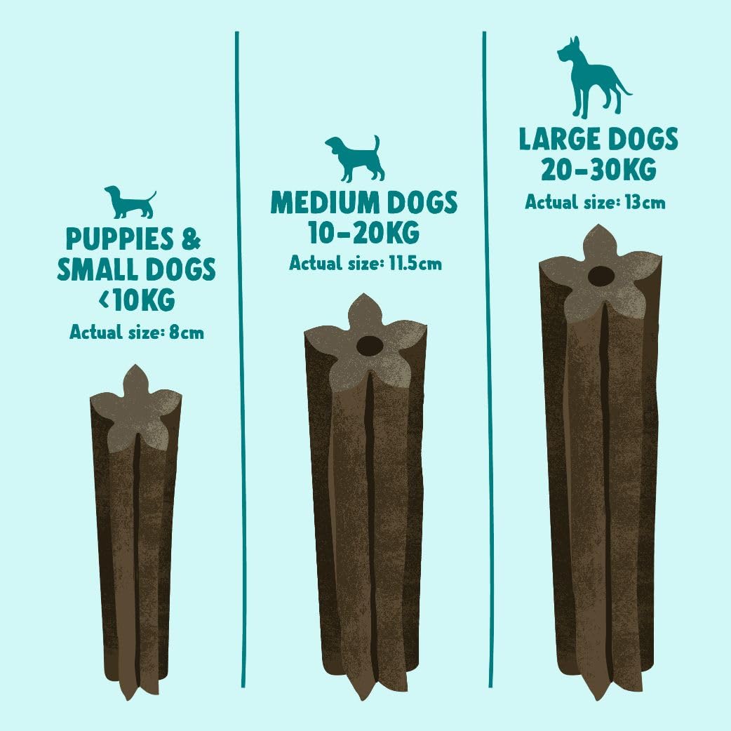 Denzel's Dog Dental Sticks - Medium Dogs (10-20kg) | Chicken & Peppermint | 28 Pack 3