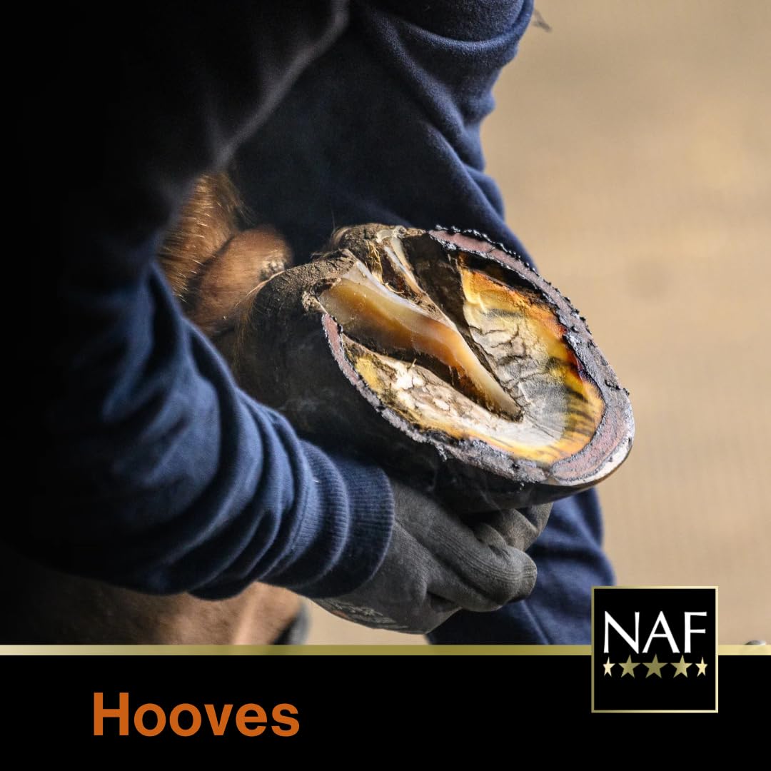 NAF Profeet Hoof Moist Black 900g - Hydrating Daily Hoof Dressing for Horses 4