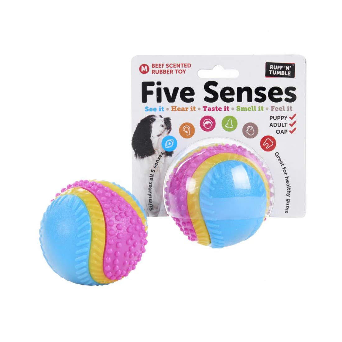 Sharples Five Senses Rubber Dog Ball - Beef Scented | Medium Size | Multicoloured 3