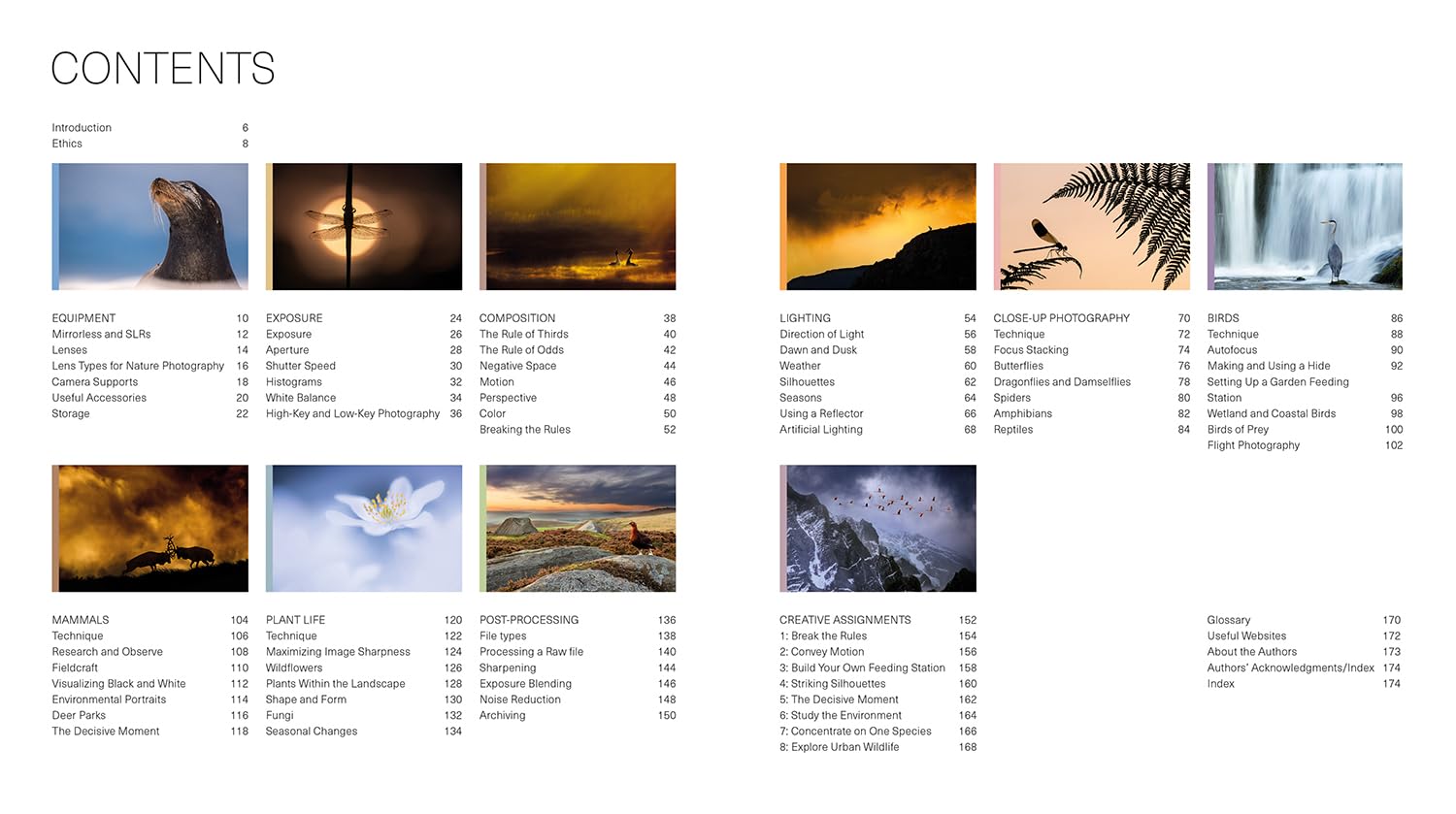 Ammonite Press The Wildlife Photography Workshop - Updated Edition | Paperback | English 2