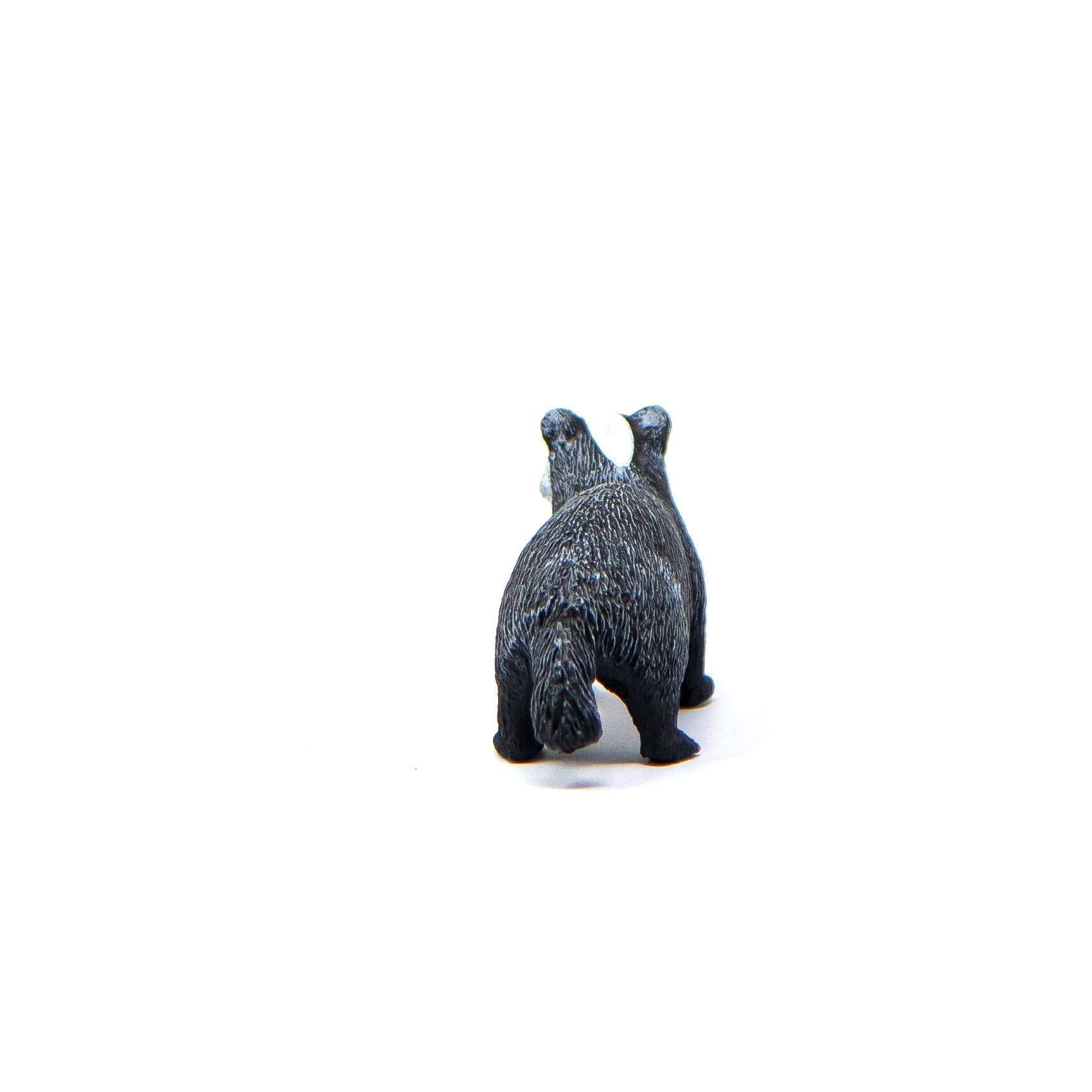 SCHLEICH Badger Figure - Wildlife Animal Toy for Kids 3-8 Years 3
