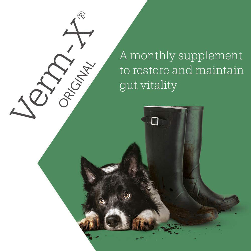 Verm-X All Natural Dog Treats - 650g Bag | Supports Intestinal Hygiene | Chicken Flavor 4