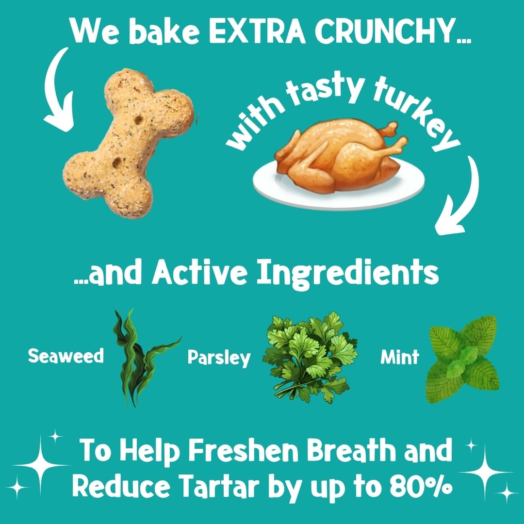 PARK LiFE Brush-Bix Dental Dog Treats Turkey & Pepper - Freshens Breath, Reduces Plaque & Tartar | 100g 3