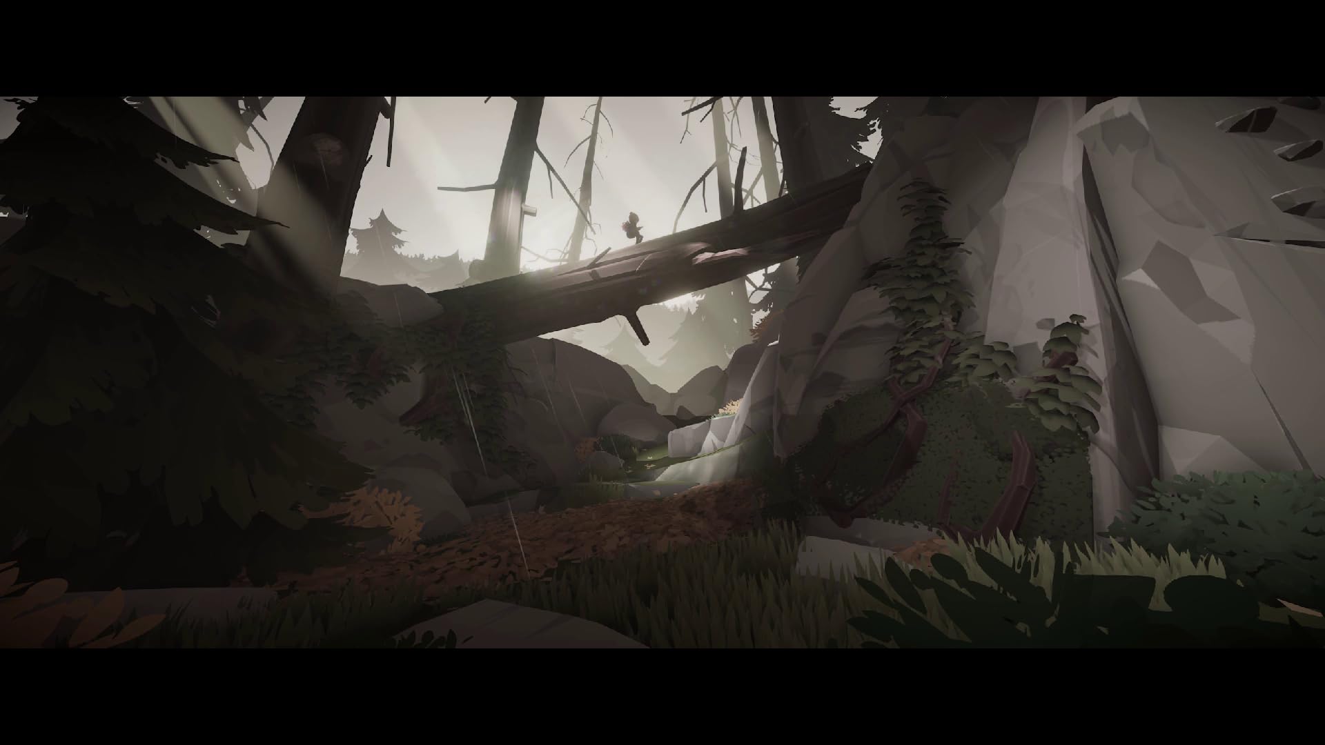 Deer & Boy [Nintendo Switch] 7