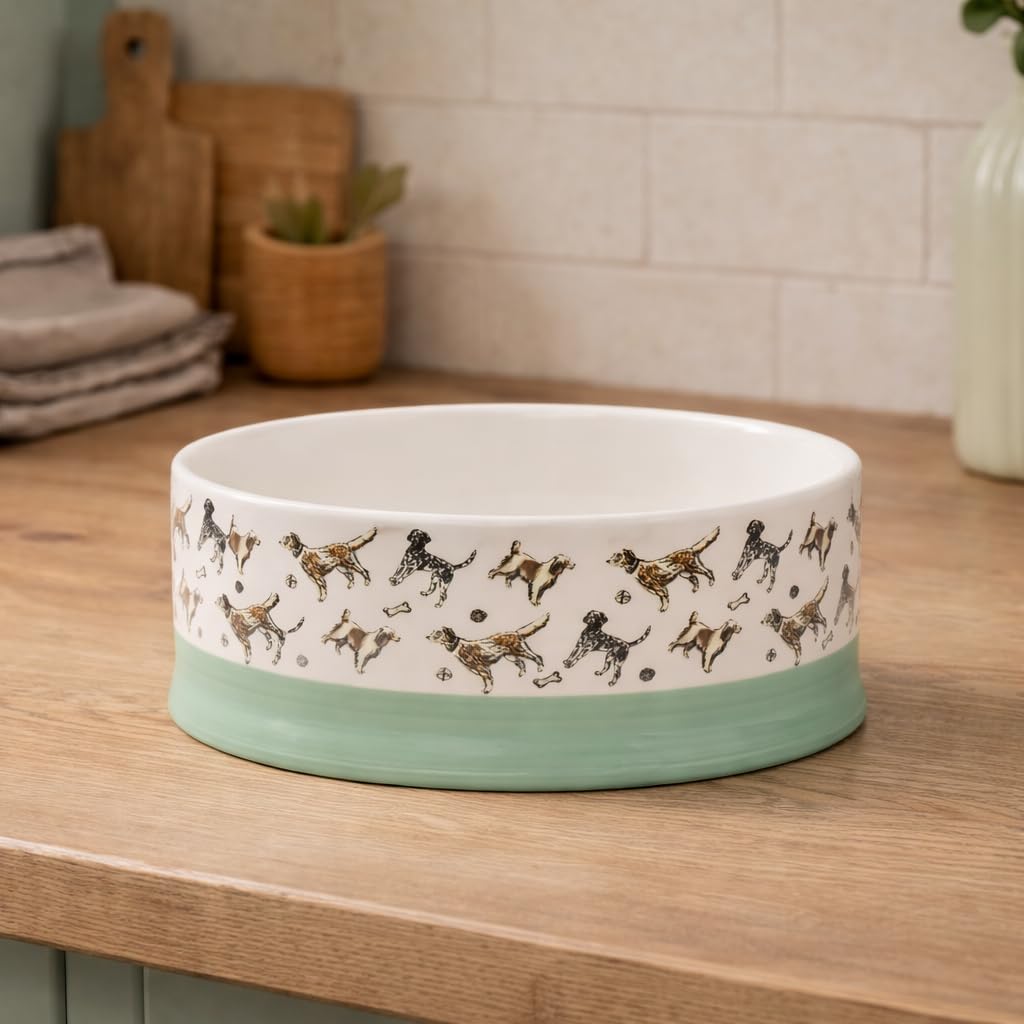 Banbury & Co Ceramic Dog Bowl - 400ml | Blue | Dishwasher Safe 6