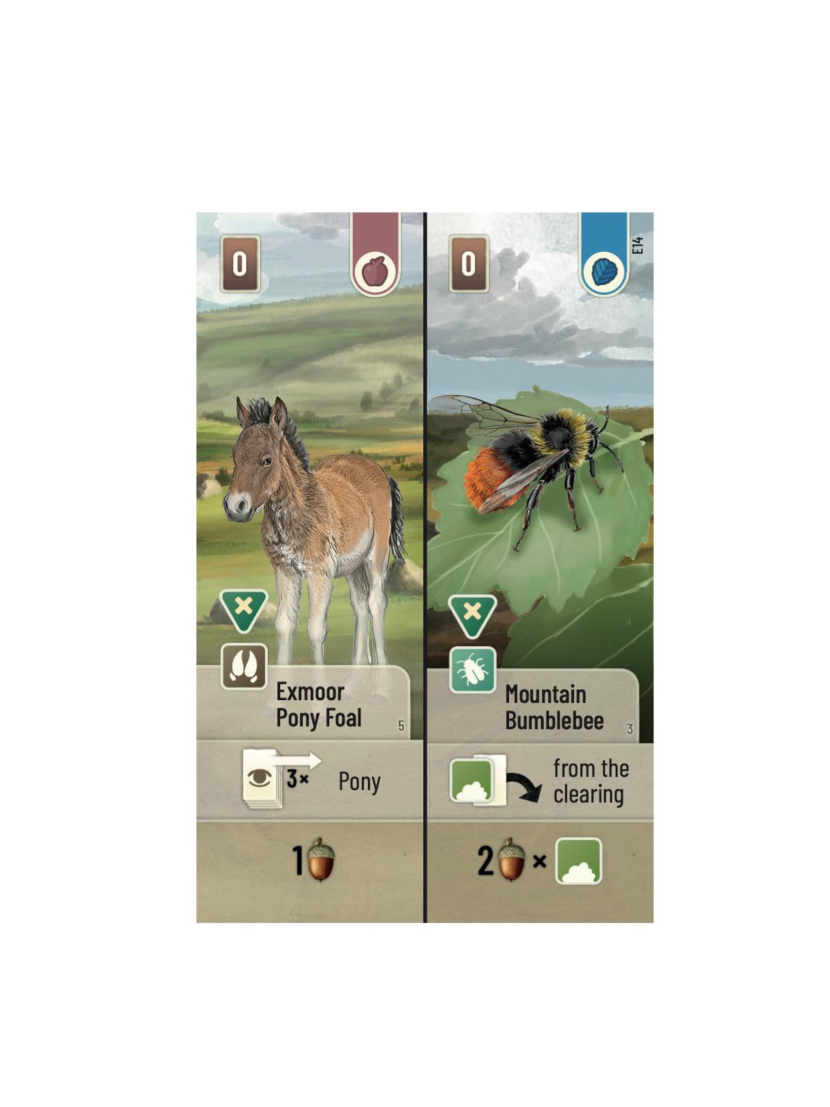 Asmodee Forest Shuffle Dartmoor: Exmoor Expansion Board Game | Ages 10+ 5