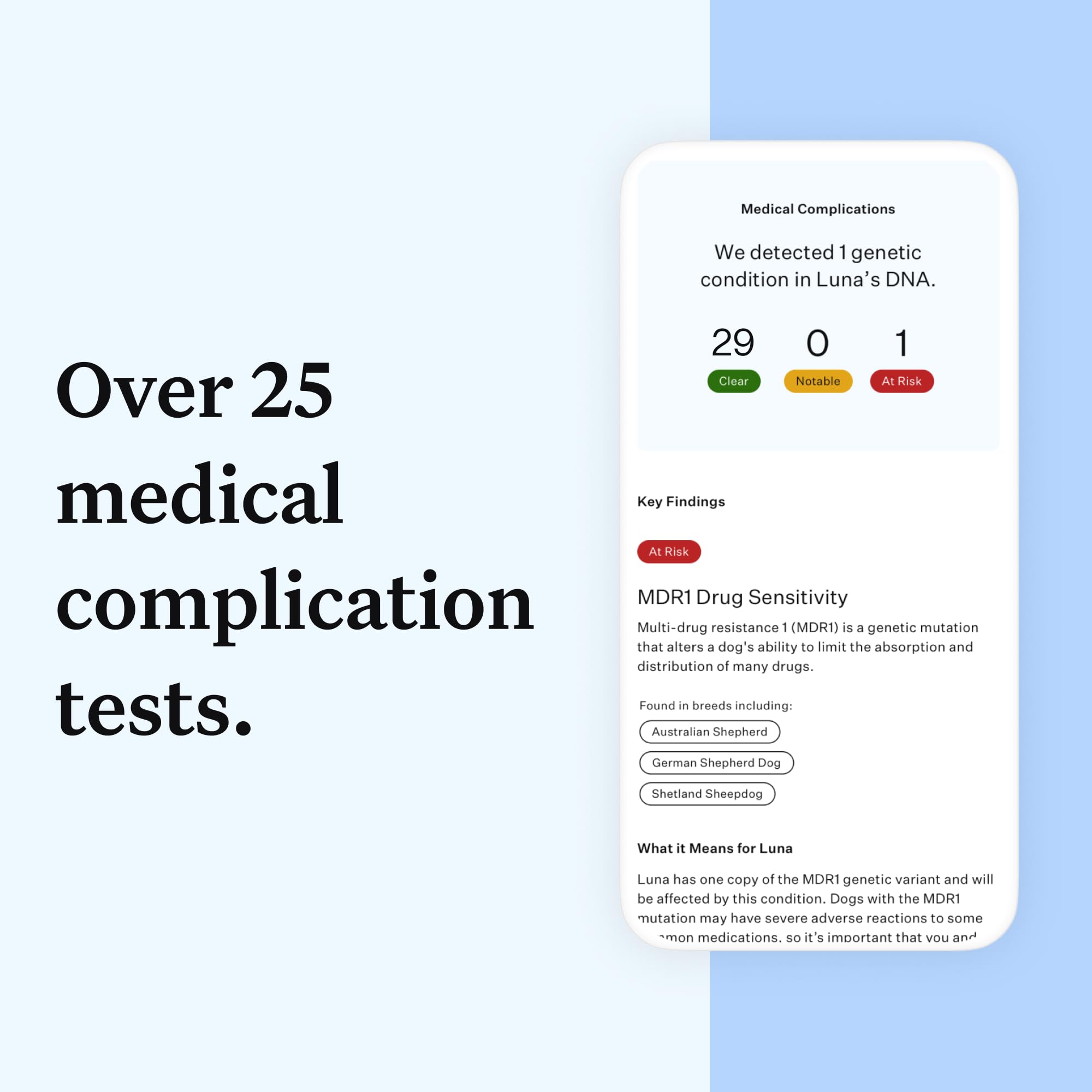 Wisdom Panel Essential Dog DNA Test Kit for Breed ID, Health Screening & Traits | 365+ Breeds 5