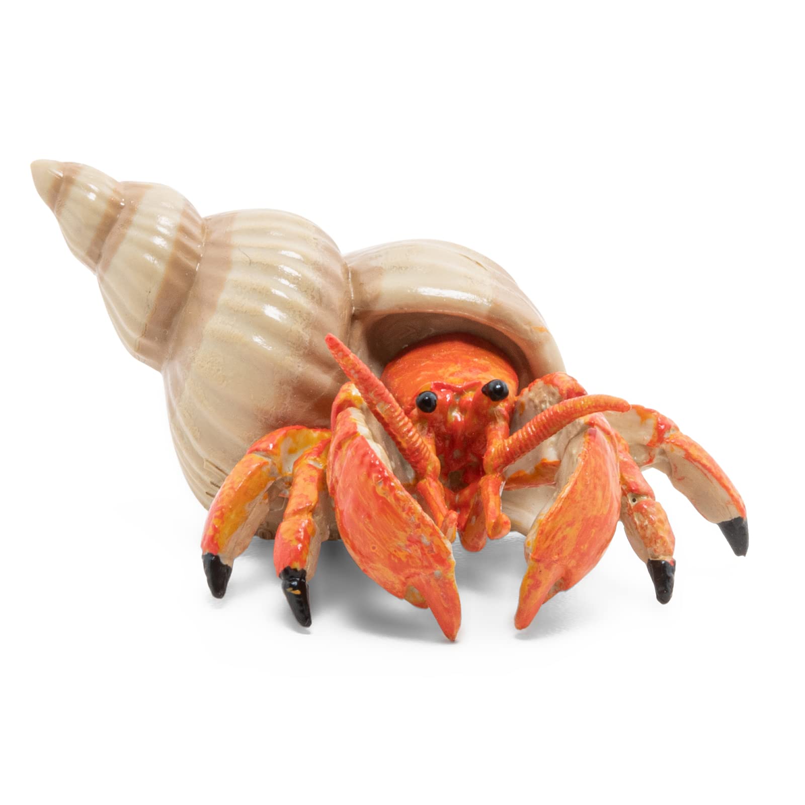 Papo Hermit Crab Figurine - Hand Painted Marine Animal Toy for Kids 3+ | Model 56054 | 6.1 x 4.4 x 2.8 cm