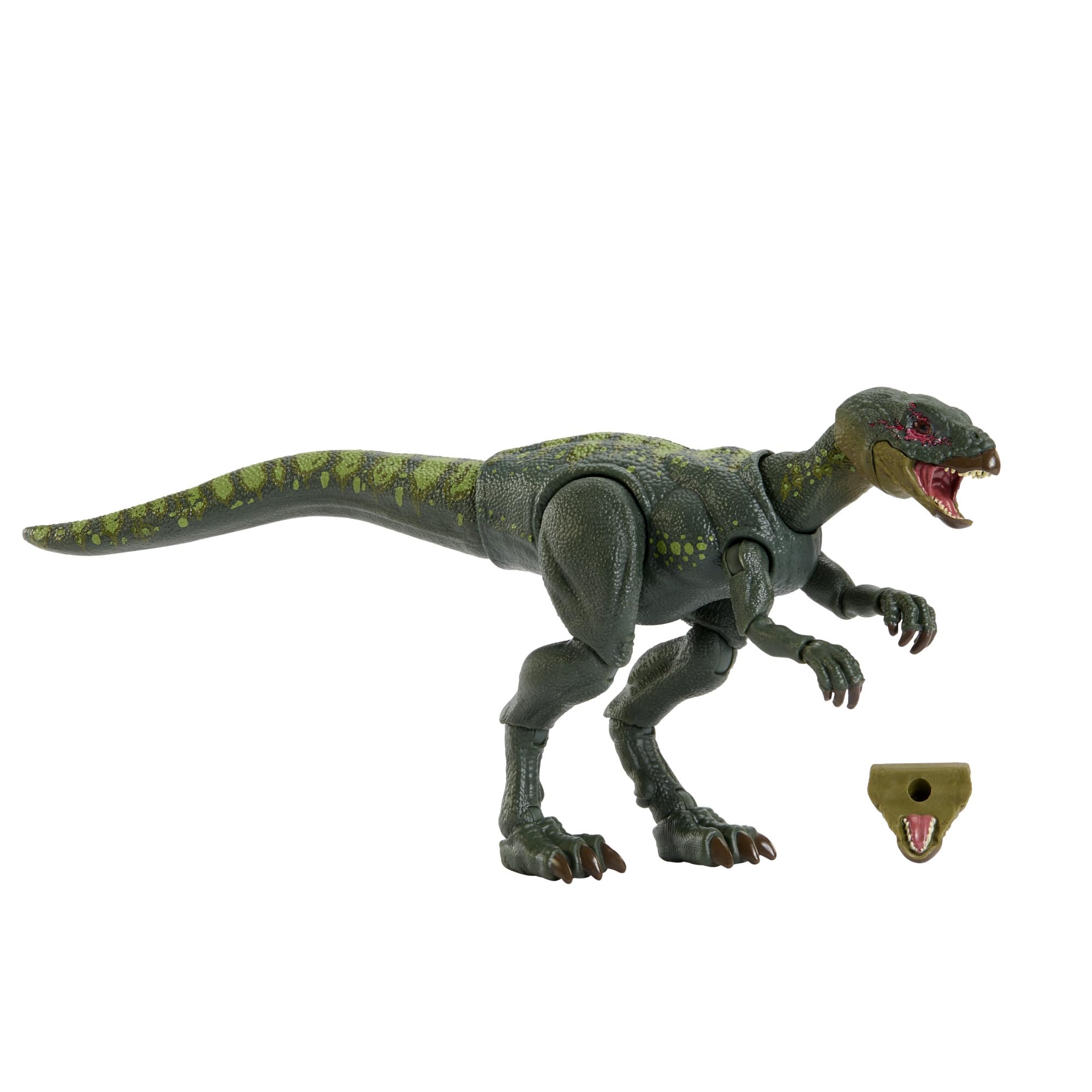 Jurassic World Hammond Collection Hypsilophodon Action Figure | Photo-Realistic Eyes | Articulated | JKM94 1