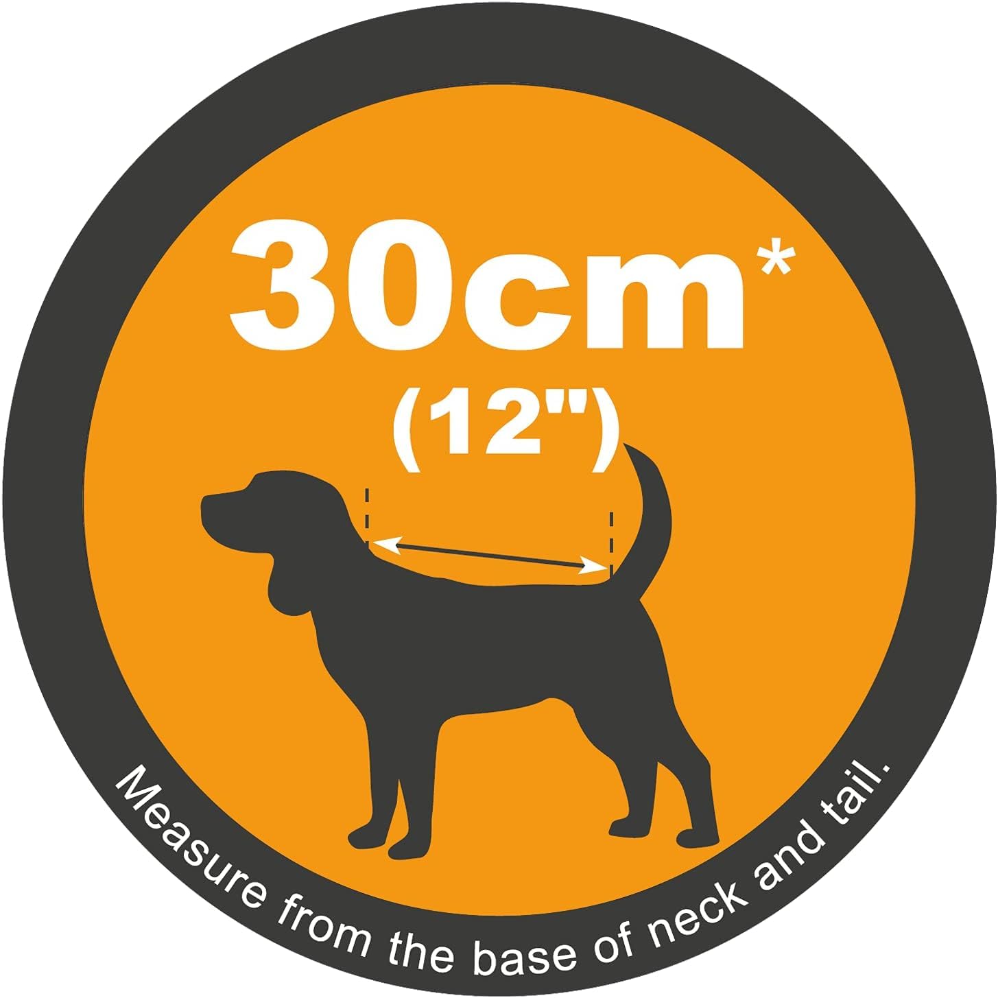 Petface Cooling Dog Coat - Water-Activated | 30cm | Blue 5