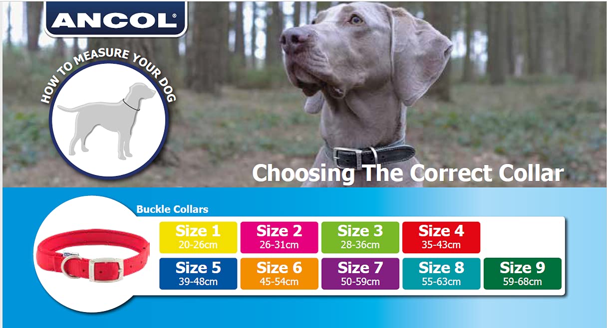 Ancol Timberwolf Leather Collar Sable Size 5 - 39-48 cm Neck | 2.2 cm Width 2