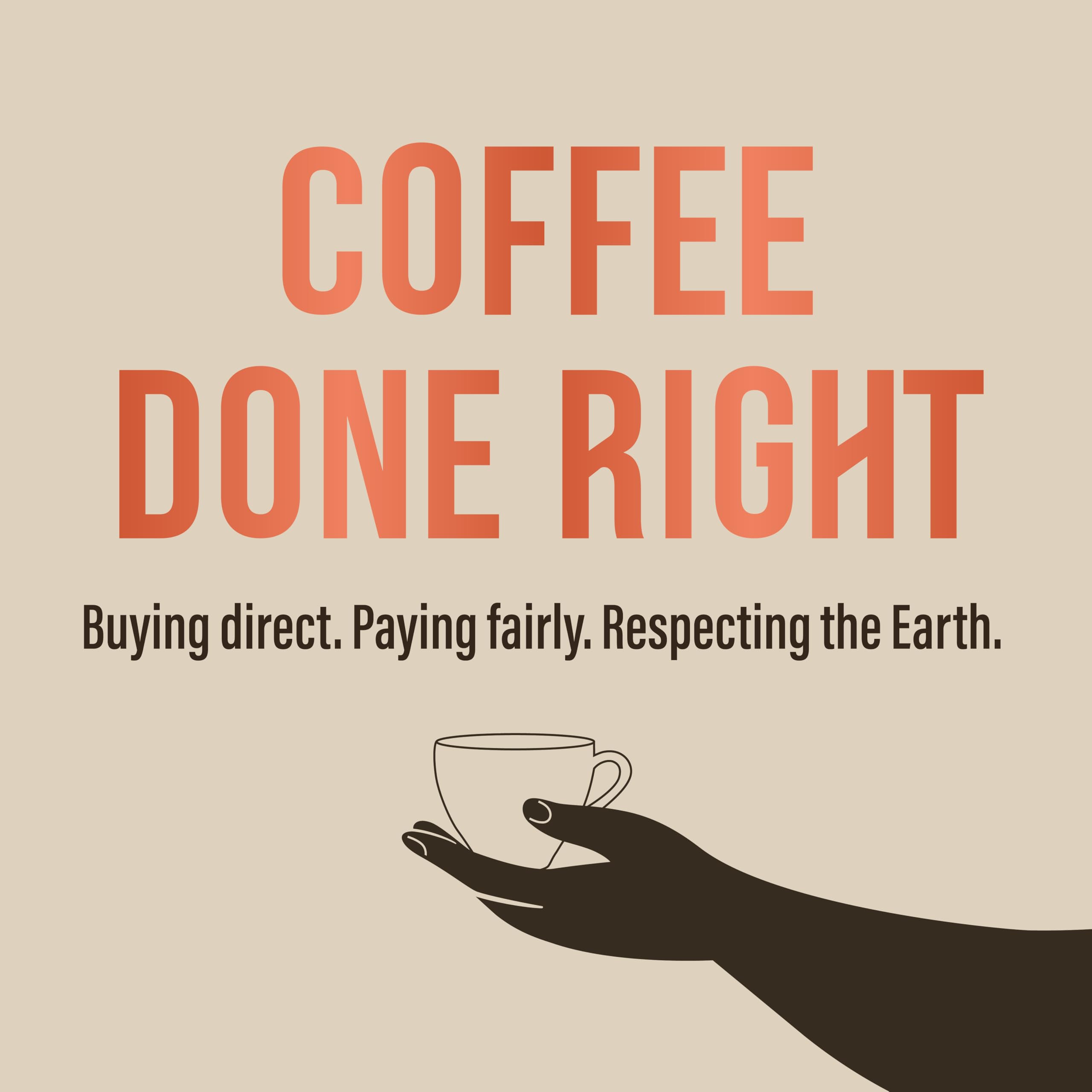 Café Direct Fairtrade Machu Picchu Whole Bean Arabica Coffee, 227g (Pack of 6) 2