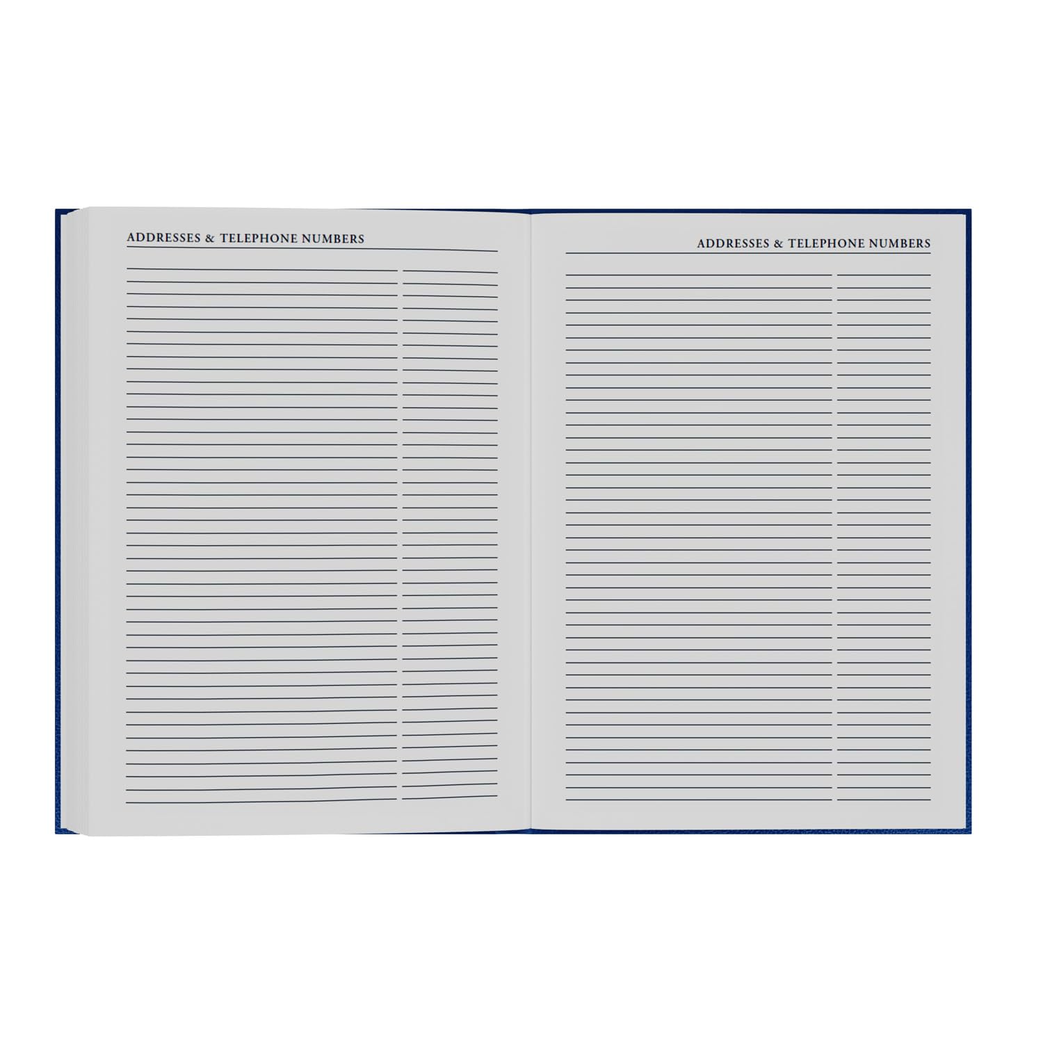 Collins 2026-2027 Mid/Academic Year A4 Day-to-Page Appointment Book & Planner | Red Hardcover 4