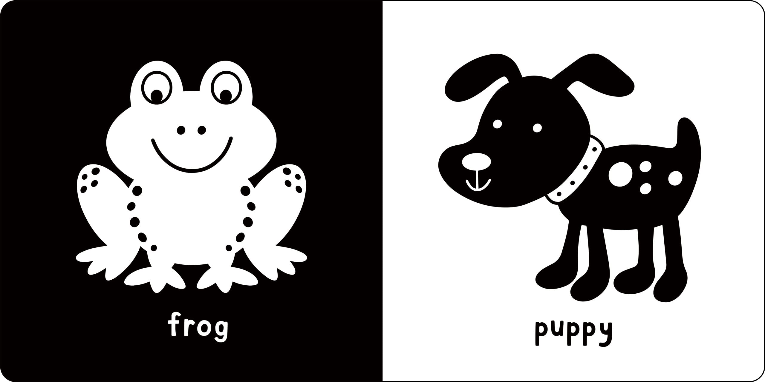 Peter Pauper Press What Does Baby See? High-Contrast Board Book for Early Learning | Ages 0+ 7