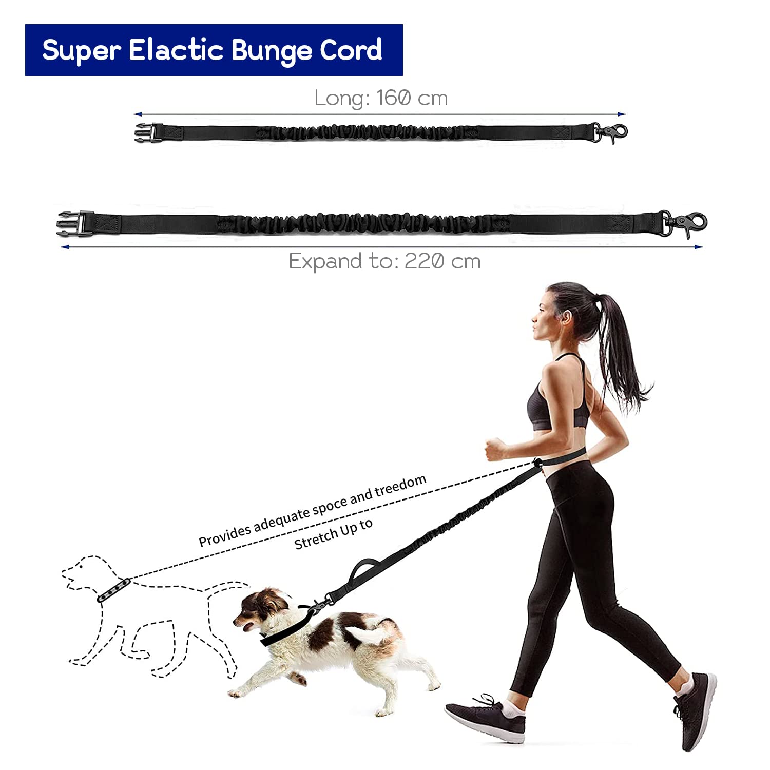 Edipets Hands Free Dog Running Lead - Waist Belt, Anti-Strain, Reflective, 1.6 Meters 4