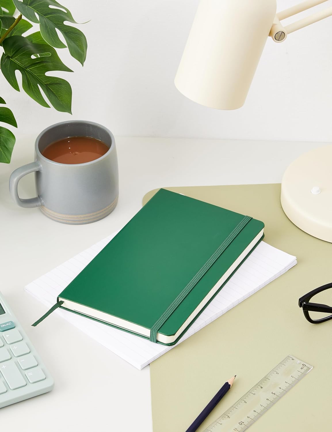 Moleskine Classic Notebook - Hard Cover | Ruled Pages | Large 13x21cm | 240 Pages | Myrtle Green 4