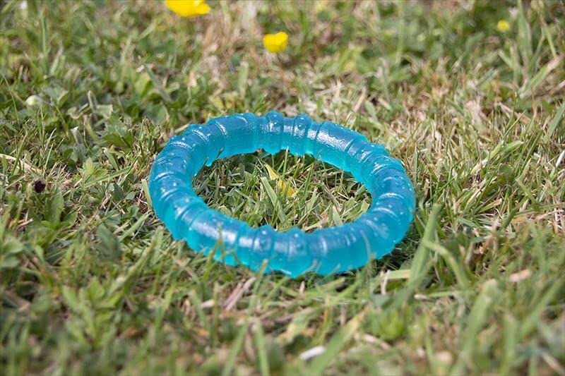 Rosewood Biosafe Puppy Ring - Antimicrobial Chew Toy for Teething Puppies | Small Size | Blue 5