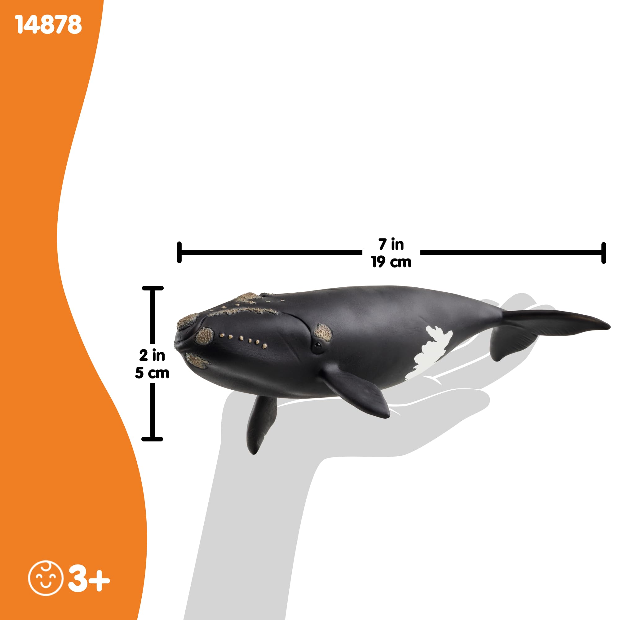 Schleich Wild Life Right Whale Figurine - Realistic 19cm Ocean Animal Toy for Kids 2