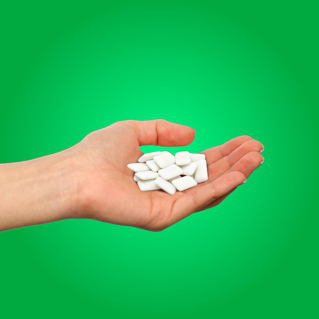 PUR Gum - Sugar Free Chewing Gum with Xylitol, Natural Spearmint Flavor, Vegan & Aspartame Free (55 Pieces, Pack of 6)