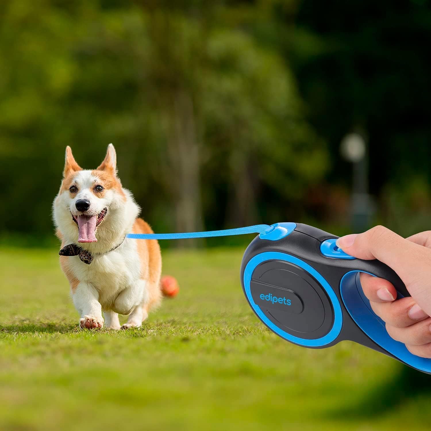 Edipets Extendable Dog Leash - Retractable Nylon Lead | 8 Metres | Blue 6