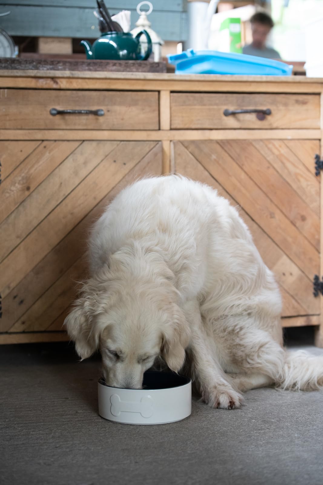Petface Bone Ceramic Dog Bowl - 20cm Diameter | Durable Ceramic | Easy Clean 2