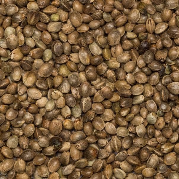 Wholefood Earth Organic Hemp Seed - 1kg Pack | Raw | High Fibre | Vegan 4