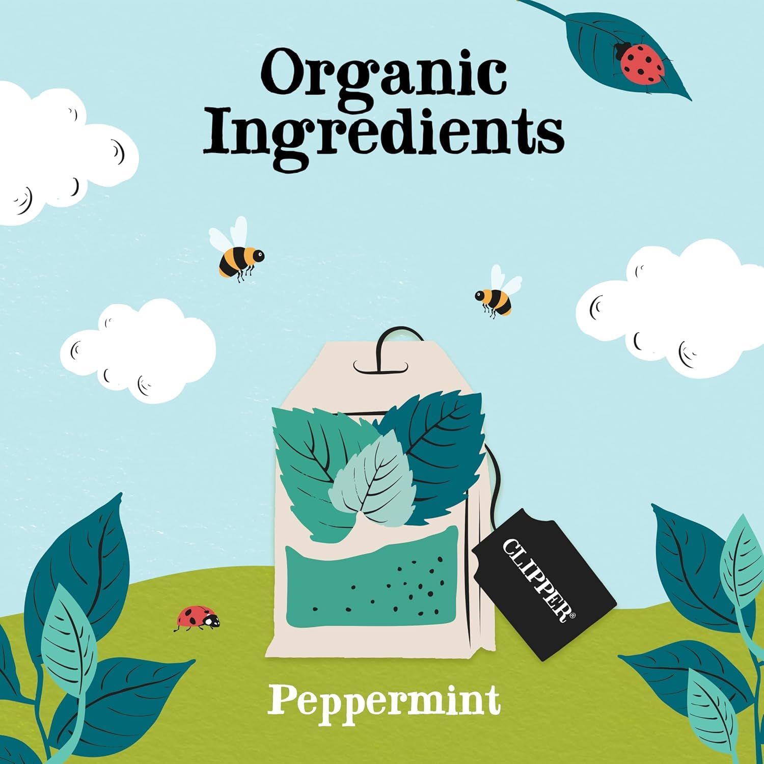 Clipper - Organic Peppermint Tea Bags | 250 Individually Wrapped Fairtrade Herbal Infusion 3