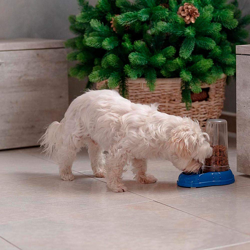 Ferplast Azimut 600 Automatic Pet Feeder/Water Dispenser - 0.6L Capacity | Blue Plastic 3