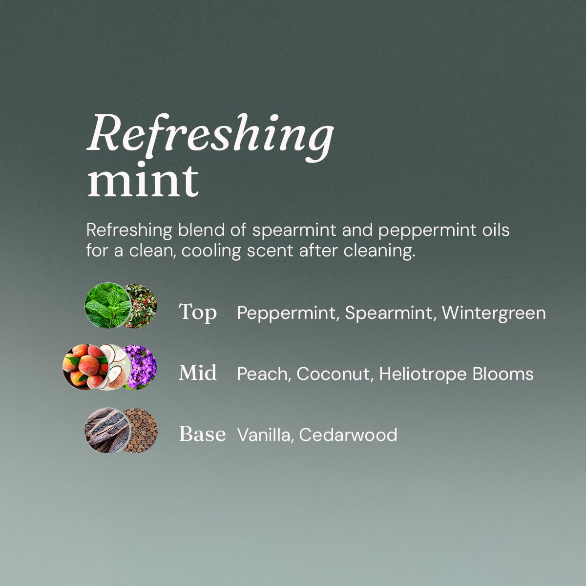 Miniml Fast-Action Toilet Cleaner - Refreshing Mint | 750ml Liquid | Biodegradable 6