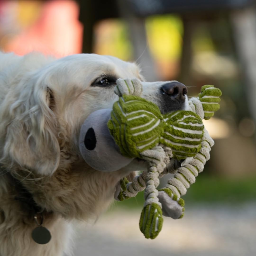 Petface Chubby Chimp Plush Dog Toy - Green | Soft & Durable Material | Lightweight & Portable 7