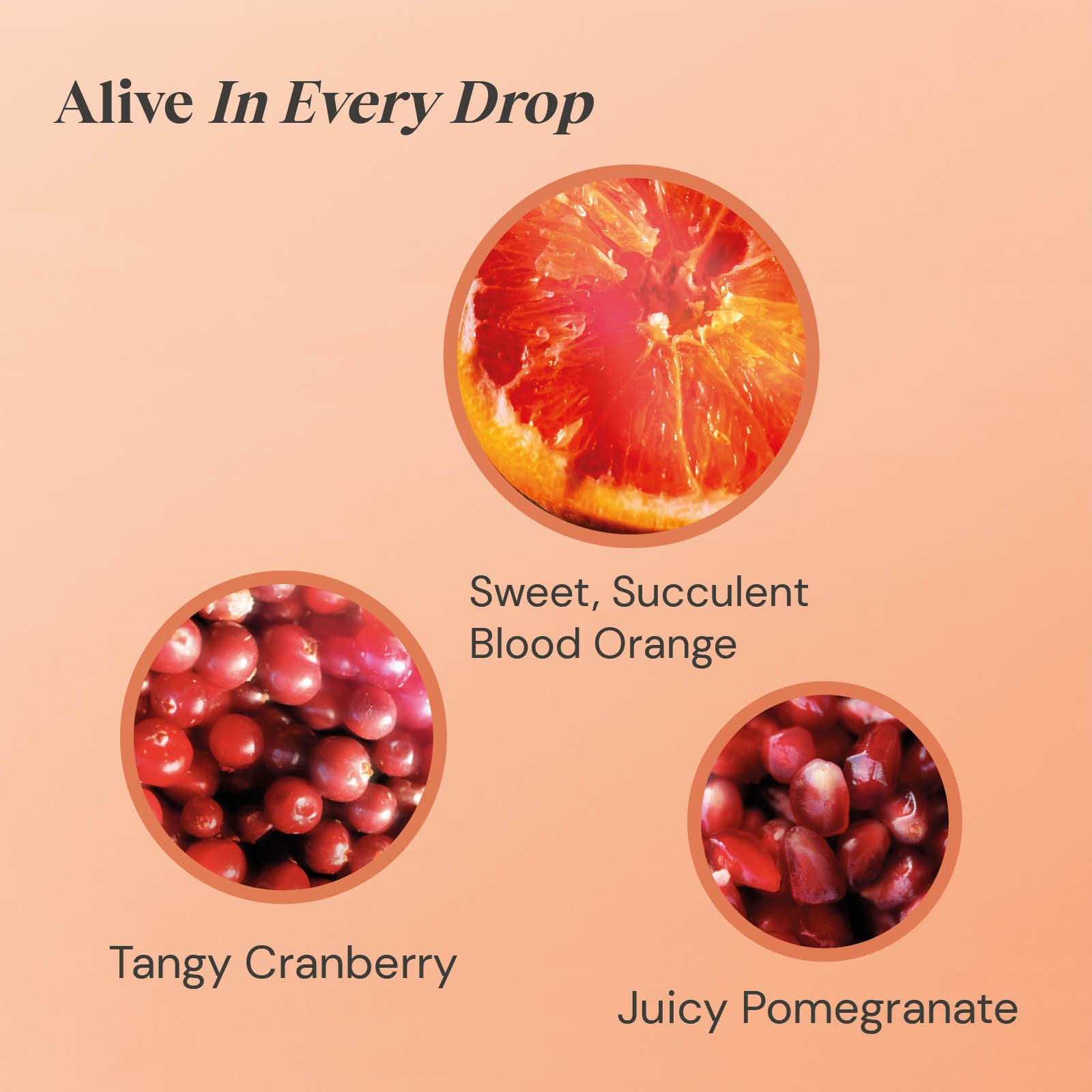 Twinings Blood Orange Cranberry Pomegranate Fruit Tea 80 Tea Bags Caffeine Free 3