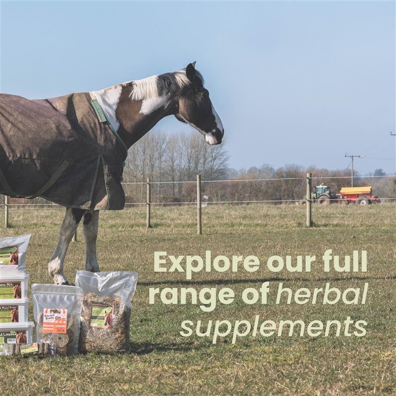 Horse Herbs Himalayan Salt Lick - 1.5kg Natural Equine Supplement for Hydration & Minerals 7