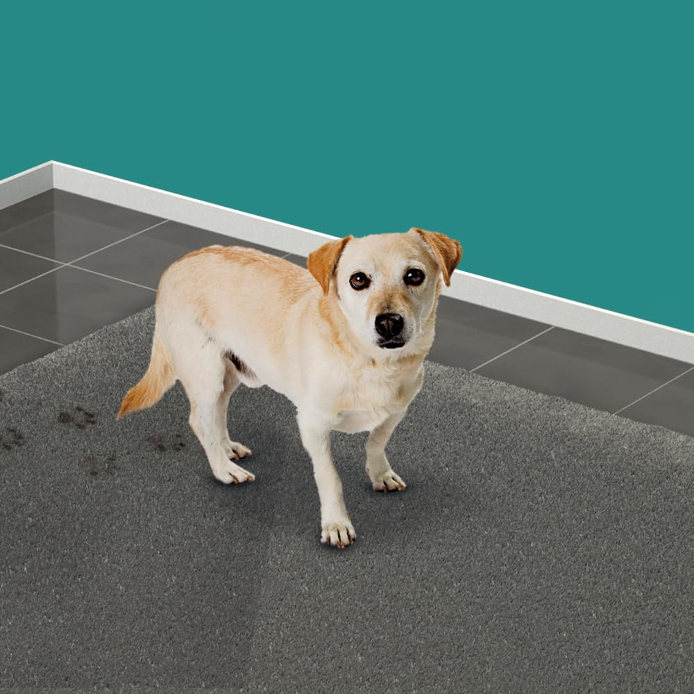 HG Dog Stain Remover & Pet Odour Remover Spray for Fabric & Carpet | 500ml 3