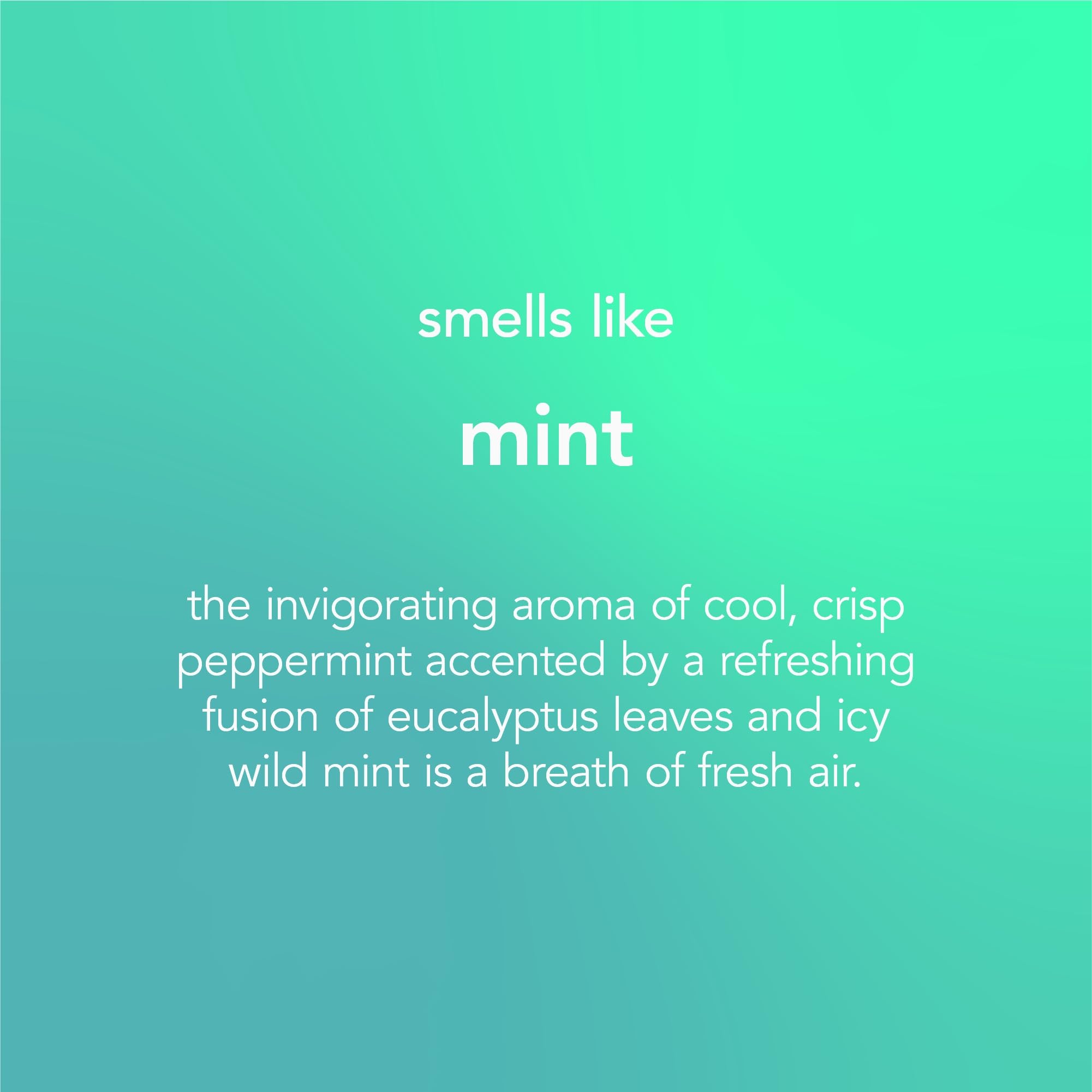 Method - Glasreiniger Spray Minze 828 ml 7