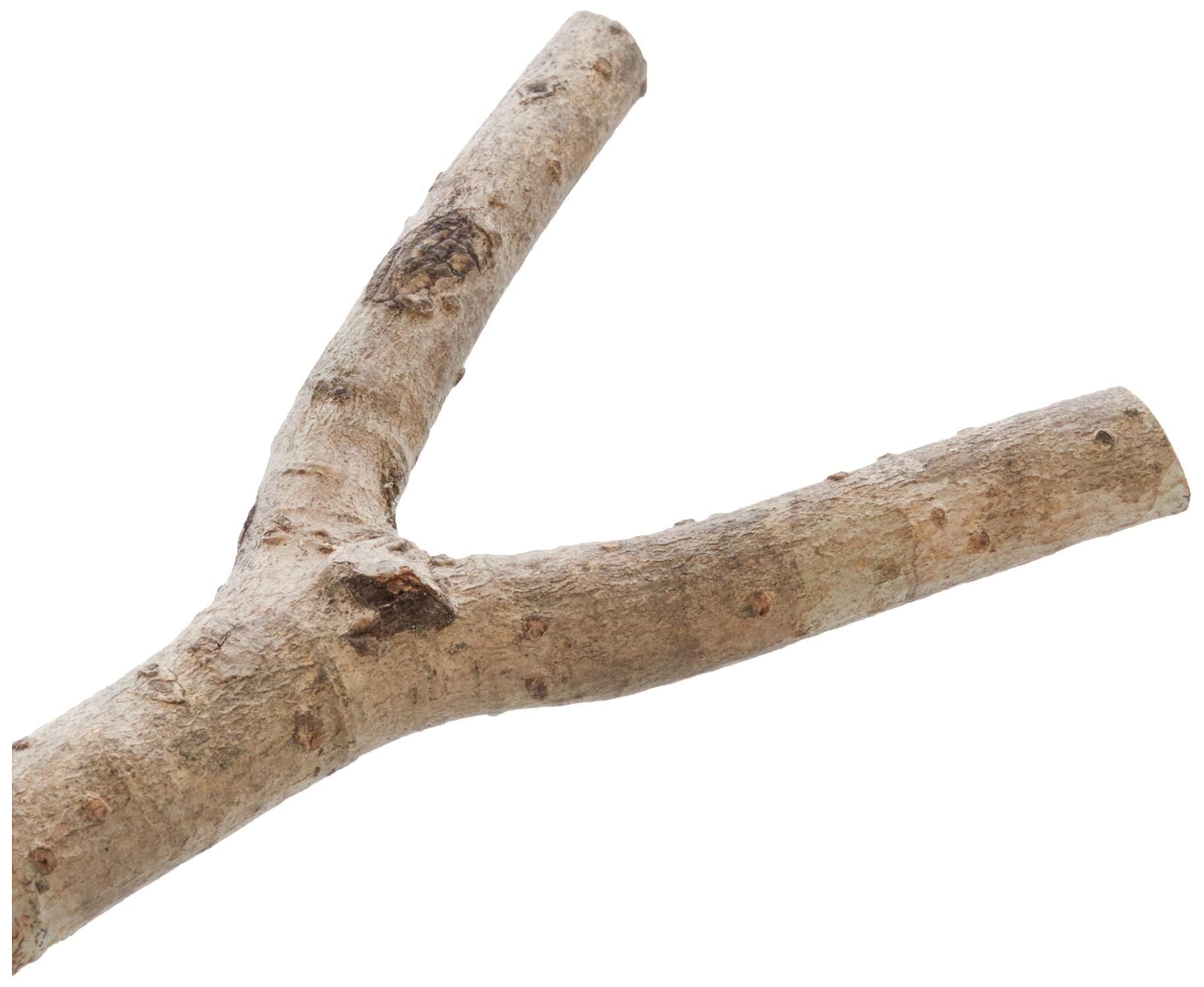 TRIXIE Natural Living Y Shape Bird Perch - Natural Wood | 20 cm Length | 15 mm Diameter 3