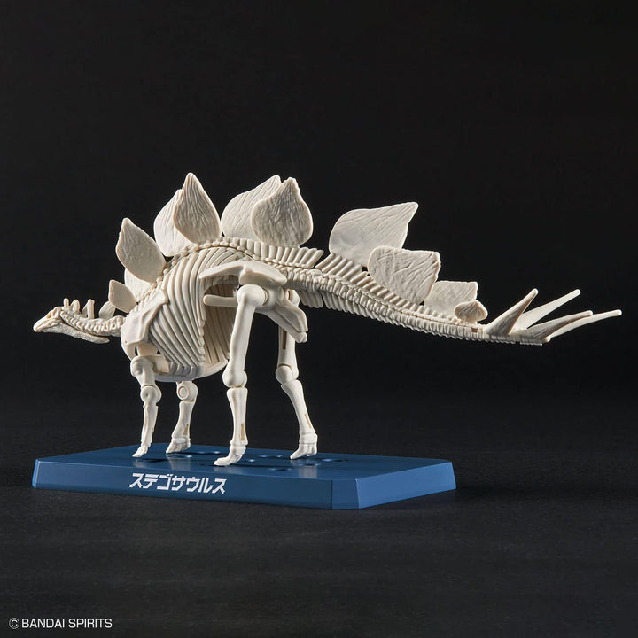 Bandai Dinosaur Plastic Stegosaurus Model Kit - Buildable Prehistoric Creature Toy