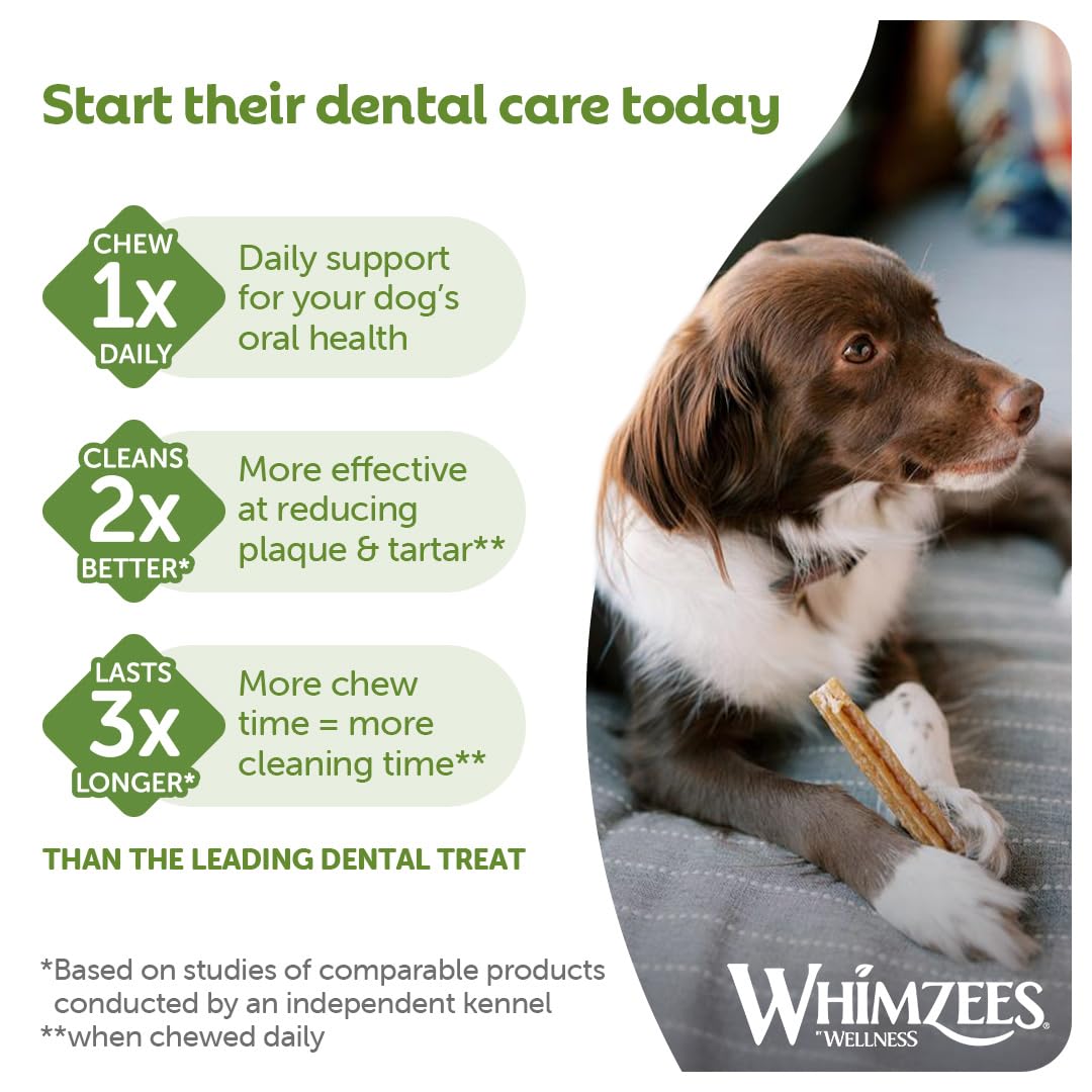 WHIMZEES Stix S Monthly Fund Dental Sticks for Small Dogs | 30 Count | Vegetarian 6