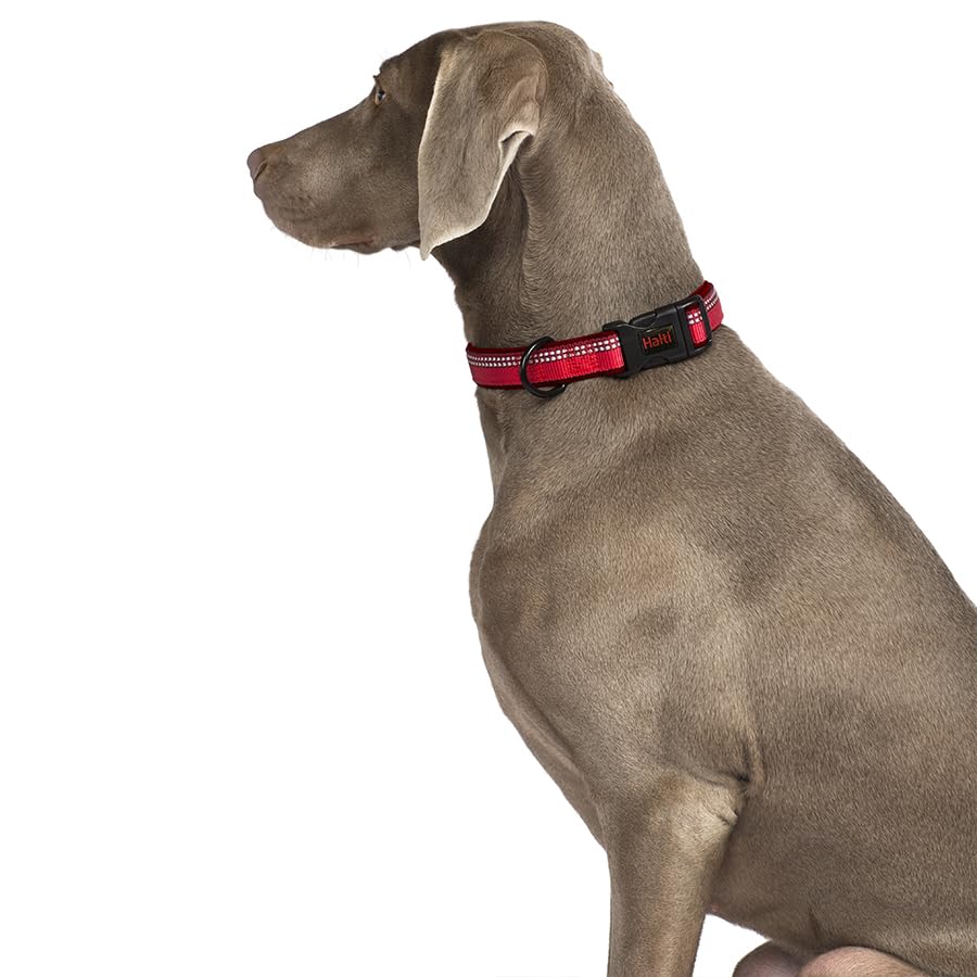 Halti Comfort Collar - Purple, Small Size, Neoprene-Padded Nylon, Reflective Strip 3