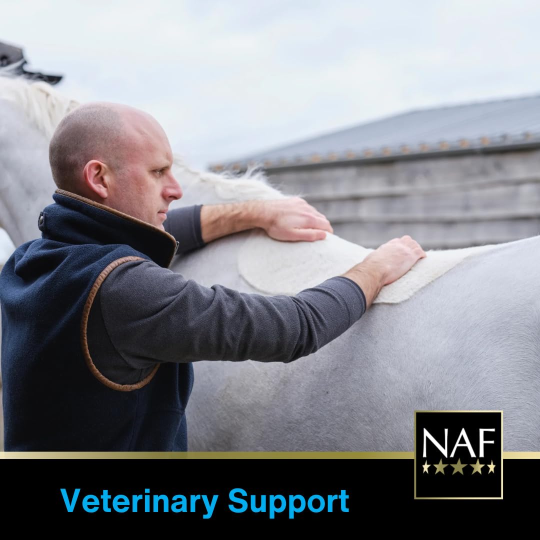 NAF Five Star Metazone Liquid - Natural Anti-Inflammatory Support for Horses | 1L Liquid 6