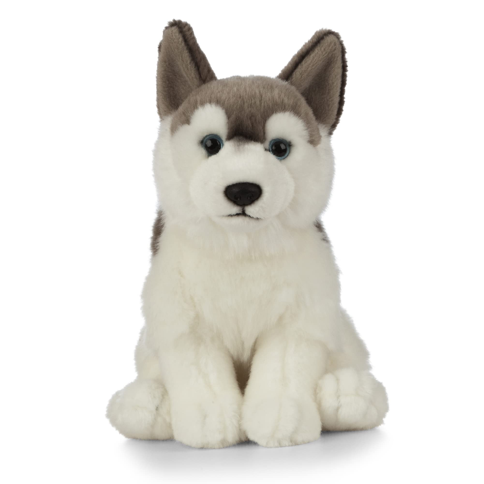 Living Nature Husky, Realistic Soft Cuddly Dog Toy, Naturli Eco-Friendly Plush, 21cm, Blue,grey,white