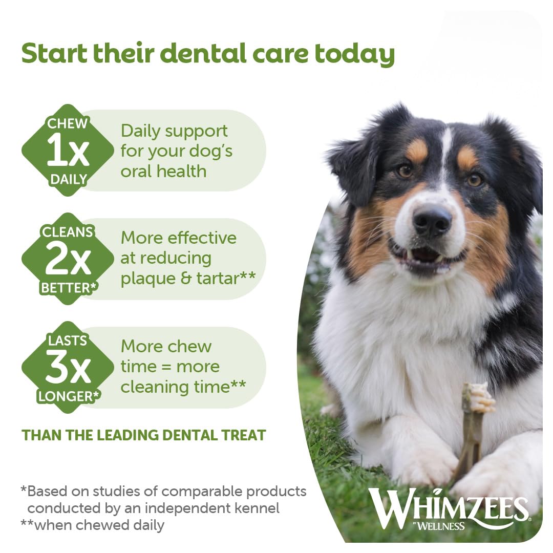 WHIMZEES Natural Grain-Free Dog Dental Sticks for Medium Breeds | Hypoallergenic Vegetarian Chews | 900g Carton 6